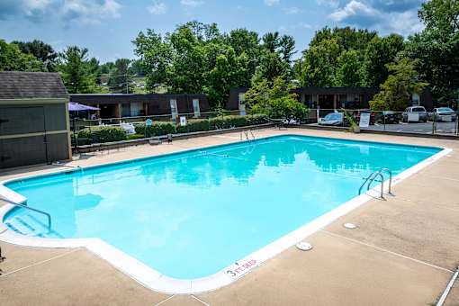 A large swimming pool with a white border and a ladder on the side.