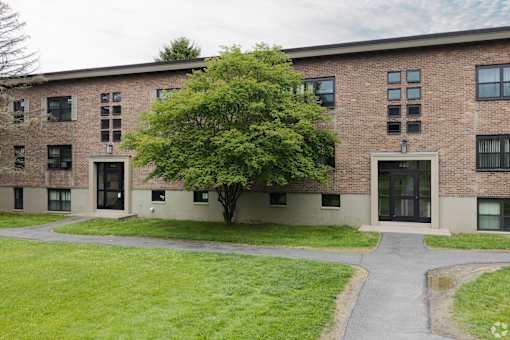 A tree is in front of a building with a grassy area in front of it.