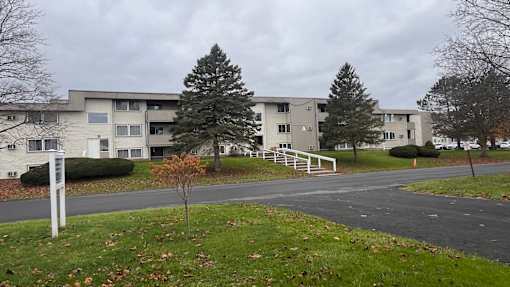 A tree stands in front of apartment buildings.