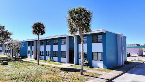 A blue and white building with a palm tree in front.