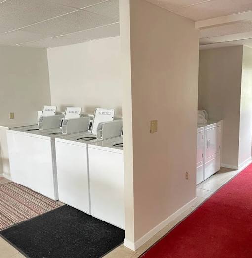A row of white chairs are lined up against a wall.