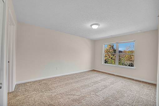 A room with a carpeted floor and a window showing trees outside.