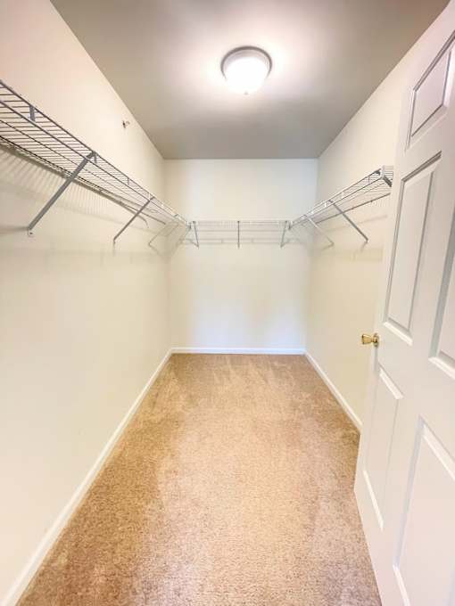 A white closet with a carpeted floor and a white door.