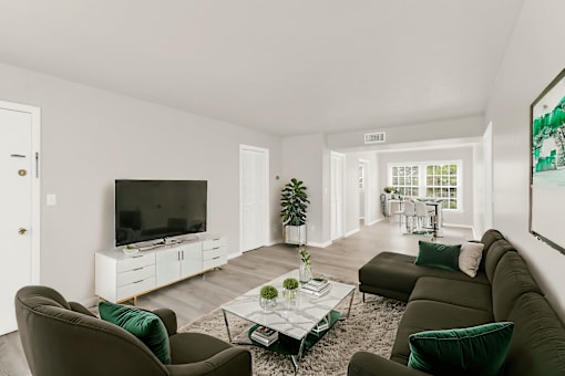 a living room with couches and a coffee table and a television