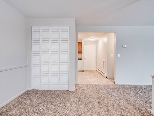 A room with a carpeted floor and a white closet.
