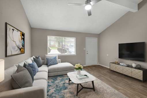 A living room with a grey couch, a coffee table, and a television.