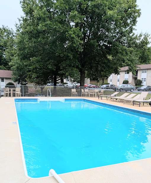 A swimming pool surrounded by trees and chairs.
