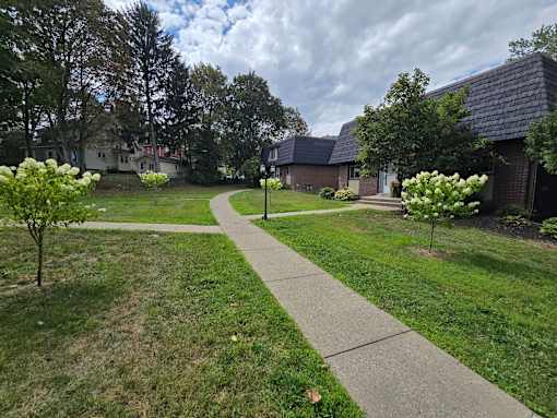 A residential area with a sidewalk and green grass.