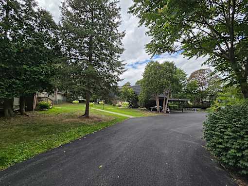 A black asphalt road surrounded by green trees and grass.