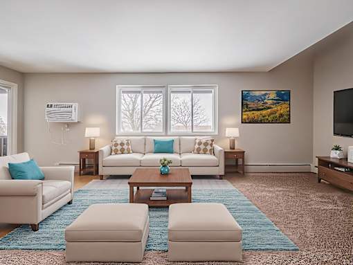 A living room with a white couch, a blue rug, and a painting on the wall.
