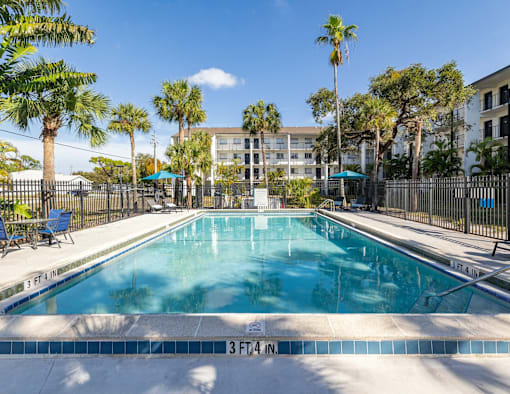 A swimming pool surrounded by palm trees and lounge chairs.