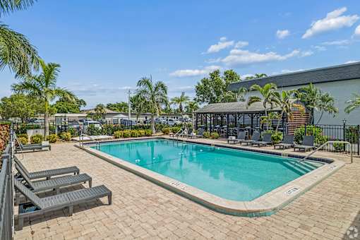 A pool surrounded by lounge chairs and palm trees.