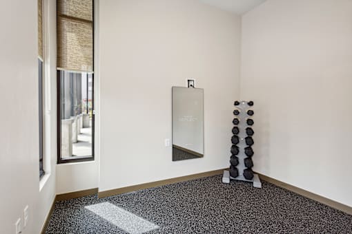 a room with a mirror and a yoga tree in the corner