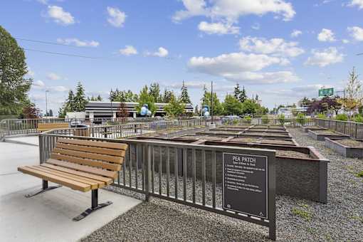a row of benches in a park next to a fence