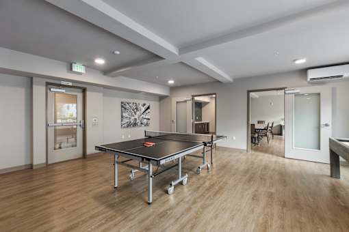 Ping pong table