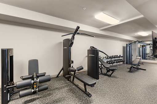 A gym with a variety of equipment including a leg press machine, a chest press machine, a squat rack, and a bench press.