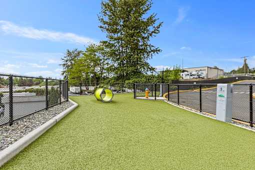 Outdoor play area  for Pets with green turf at Ovation at Paine Field