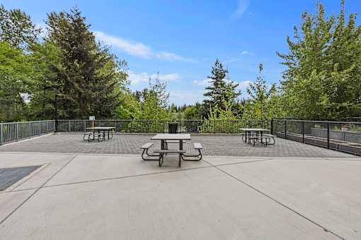 Picnic table and patio area with trees at Ovation at Paine Field