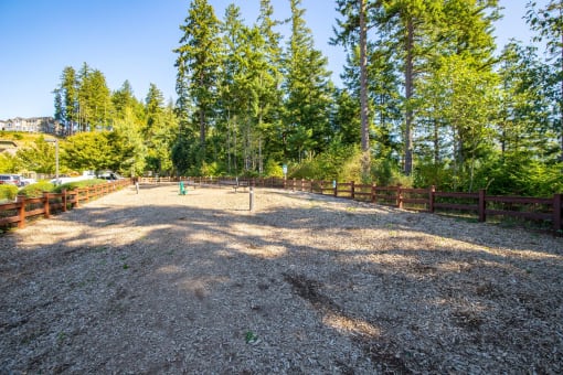 Dog Park at Discovery Heights, Issaquah, WA, 98029