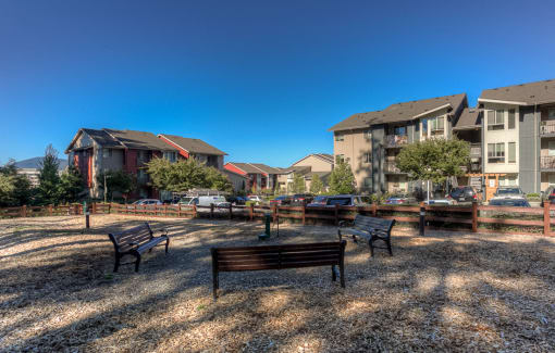 Dog Park at Discovery Heights, Issaquah, WA, 98029