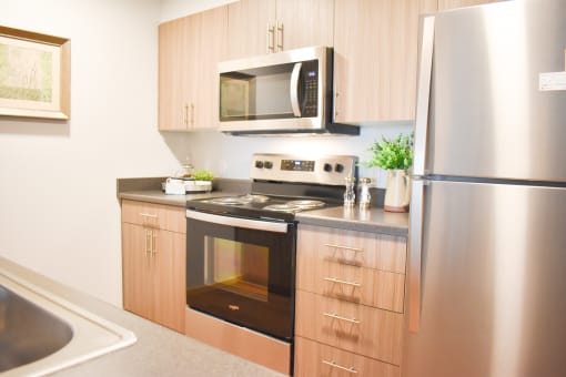 Modern Kitchen
