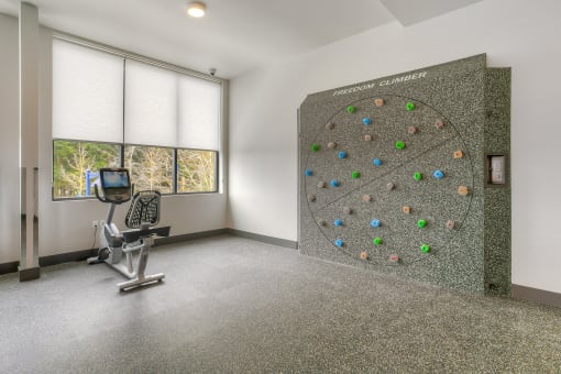 Climbing Wall