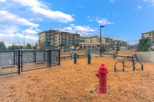 Dog Park