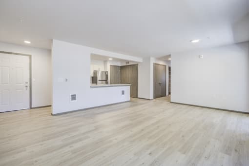 Livingroom, kitchen and entrance
