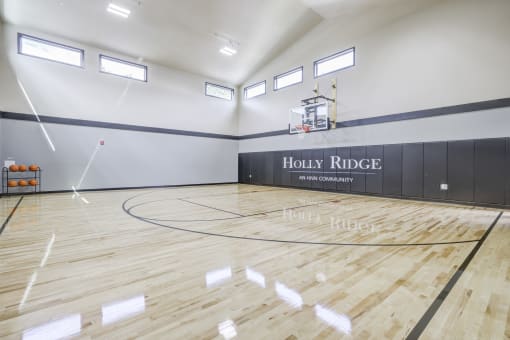 Basketball Court