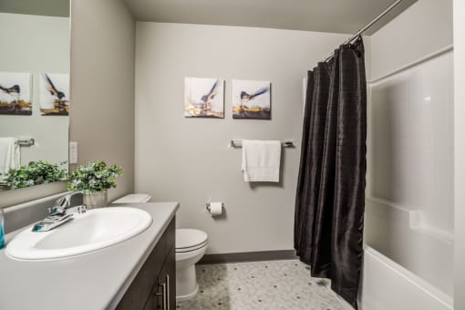 Luxurious Bathrooms at Panorama, Snoqualmie, Washington