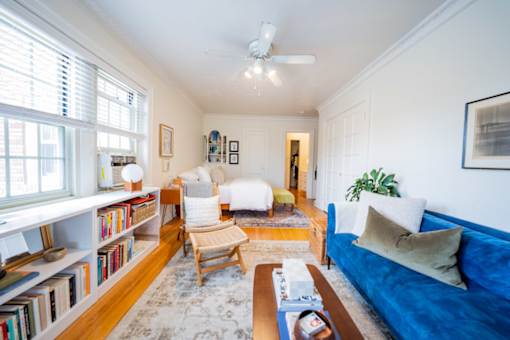 A living room with a blue couch and a bookshelf filled with books.