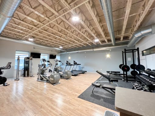 a gym with cardio machines and weights on a wooden floor