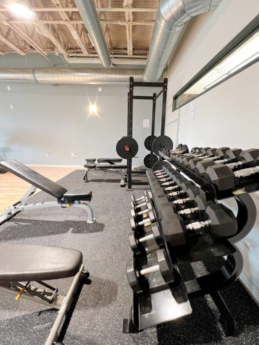 the gym is equipped with weights and cardio equipment