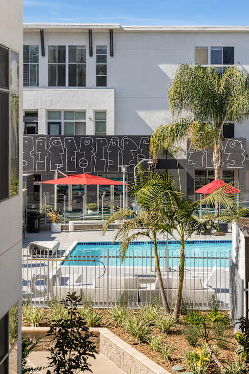 A pool surrounded by palm trees and red umbrellas.