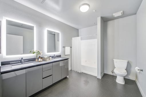 a bathroom with a sink and a toilet and a mirror
