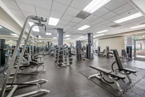a gym with cardio equipment and weights on the floor