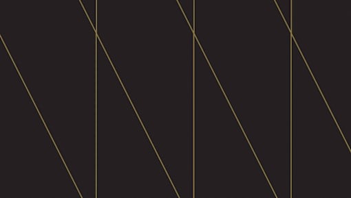 A black background with gold lines.