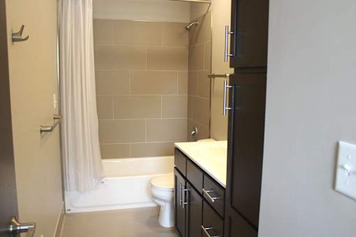a bathroom with a sink and a toilet and a shower