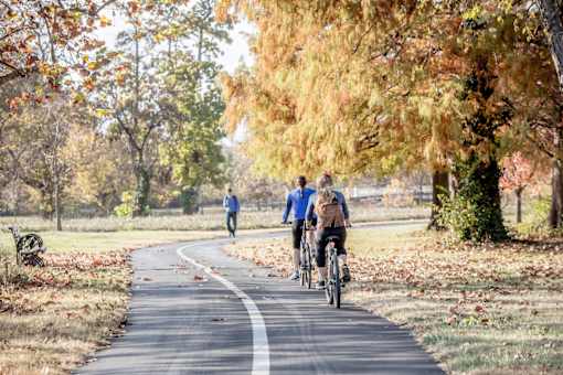 Three people riding bikes on a paved path in a park.