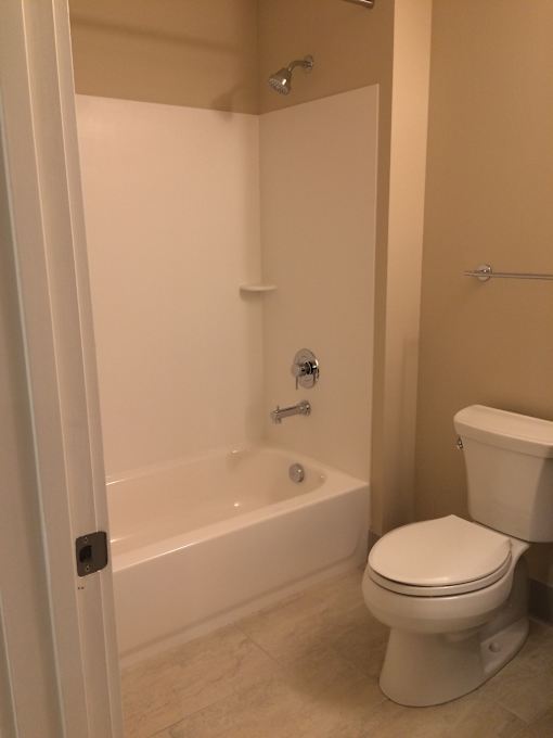 a bathroom with a toilet and a bath tub