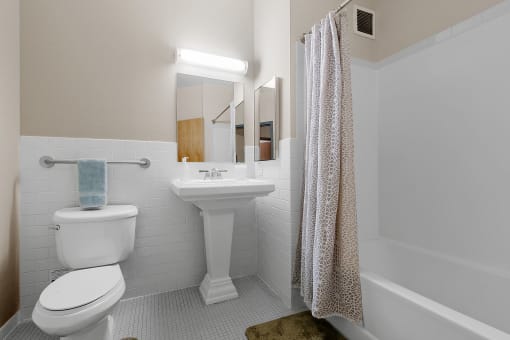 Stone Arch I Bathroom, Minneapolis, Minnesota