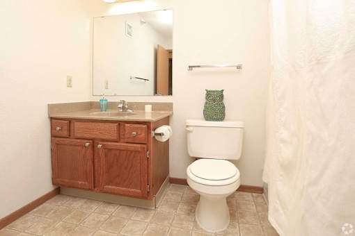 A white toilet sits next to a sink in a bathroom.