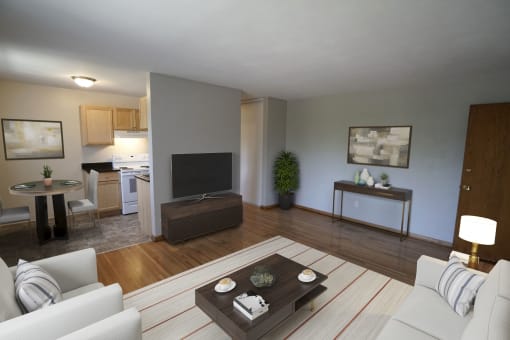 Como Lake Estates Living Room, St. Paul, Minnesota