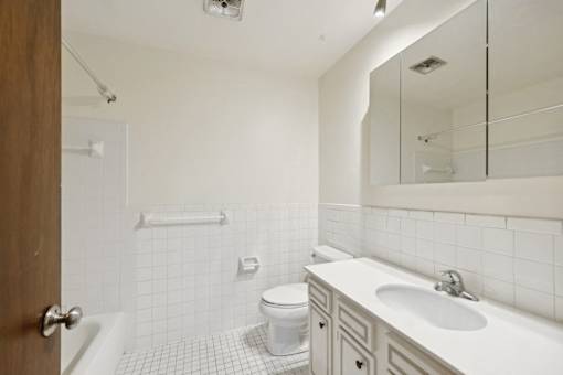 Edina Manor Bathroom, Edina, Minnesota