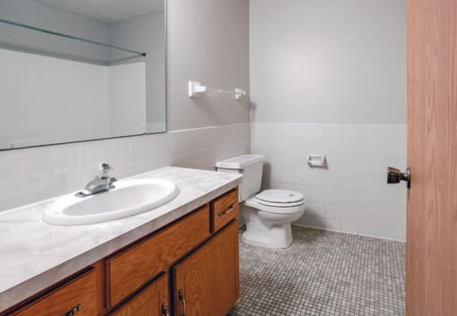 River Ridge Apartments Bathroom, Anoka, Minnesota