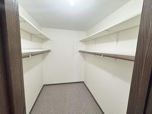956 Place Apartments Forest Lake, Minnesota Closet