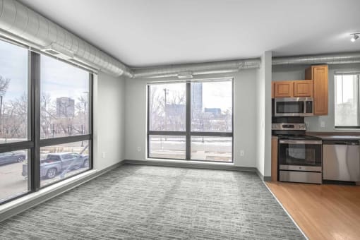 Stone Arch I Living Room, Minneapolis, Minnesota