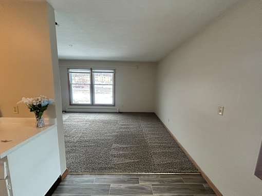 Marjon Terrace St. Paul, Minnesota Living Room