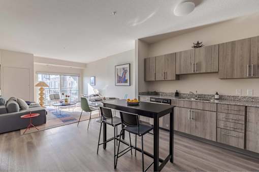 Satori Apartments, Minneapolis, MN
