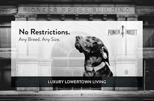 Pioneer Apartments, St Paul - PET FRIENDLY!